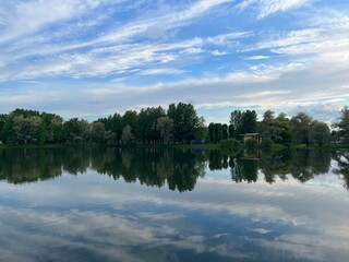 tree reflection on the lake surface in the park