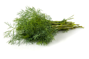 Green fresh dill isolated on white