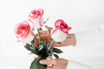 Bouquet of fresh pink roses in female hands on a light background. Close up and lifestyle