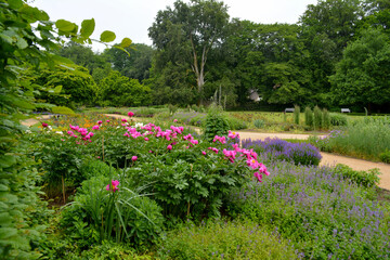 Botanischer Garten in Gütersloh im Juni, Park