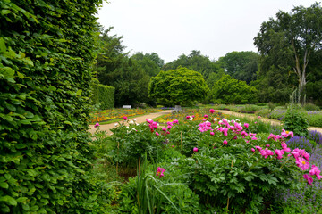 Fototapeta na wymiar Botanischer Garten in Gütersloh im Juni, Park