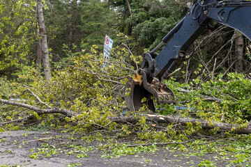 Hydraulic boom and pincer of an excavator is seen clearing debris and uprooted trees from a highway...