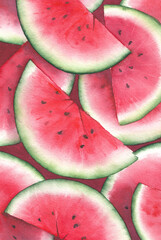Watercolor illustration. Juicy slices of watermelon. View from above.
