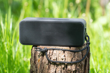 Portable wireless speaker for listening to music on a stump