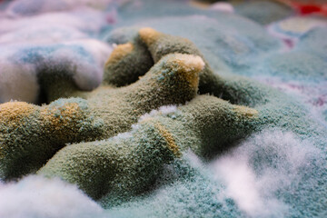Dangerous mold on food Close up of mold on rotten fruit.