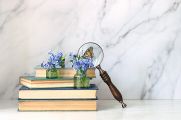 butterfly on blue flowers, magnifying glass and old books on table, abstract marble background....