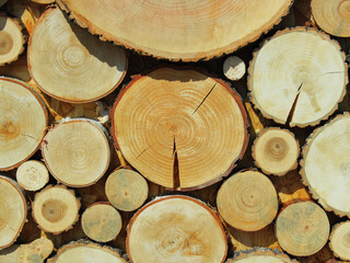 end cuts of trees of different diameters with growth rings in the form of a wall for the background