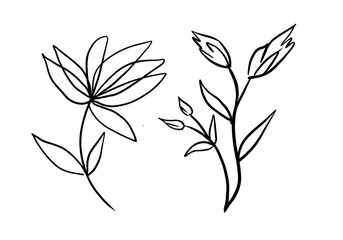Abstract flower in one line art drawing style. Black line sketch on white background
