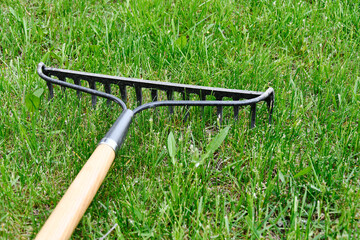 A close up image of an old metal garden rake and tall green grass. 