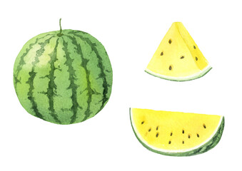 Watercolor illustration of yellow watermelon set