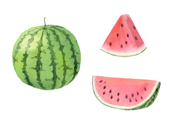 Watercolor illustration of watermelon set
