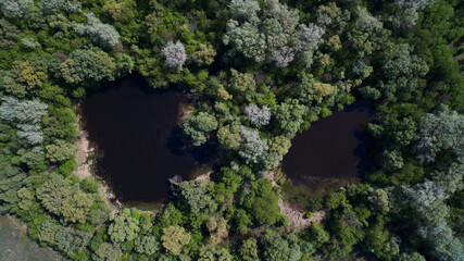 wildlife in spring, shooting from a drone
