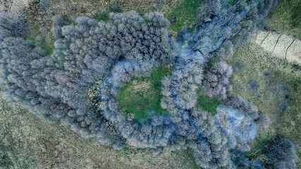 wildlife in spring, shooting from a drone