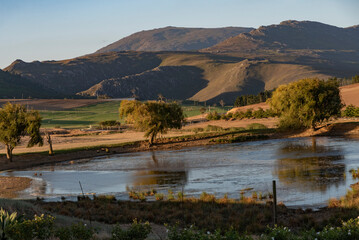 Caledon, Western Cape, South Africa. 2022. Evening light in the Overberg, a farm pond with a backdrop of the Riversonderend mountains.