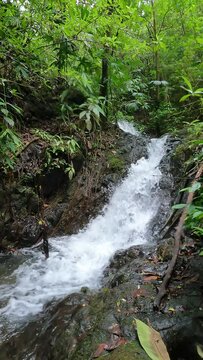Cascada De Mariato Panam&aacute;