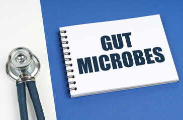 On a blue-white surface lies a stethoscope and a notepad with the inscription - GUT MICROBES