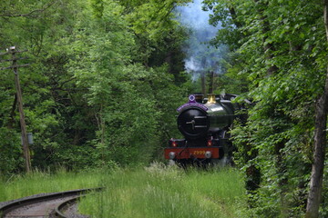 the lady of legend passint though the wyre forest