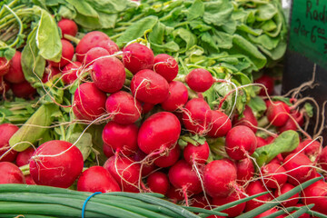 Fresh red radishes for sale at a farmer's market stand, daytime, nobody