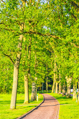 Natural panorama view with pathway green plants trees forest Germany.