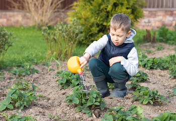 Little boy helps water the garden