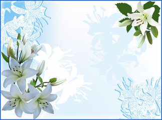 frame from lily flowers on light blue background