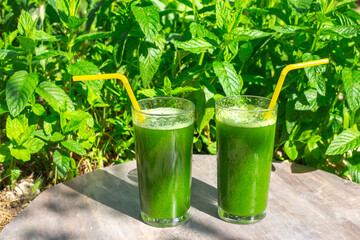 Two glasses with drinks from fresh herbs, smoothies from green leaves saturated with chlorophyll on...