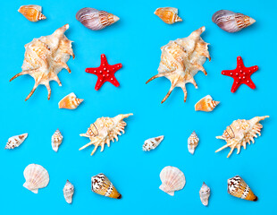 sea shells background