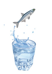 heckel, poisson, sauter, évasion, eau, en verre, boire, clapoter, froid, liquide, glace, isolé, blanc, boisson, bouillonner, abattre, bleu, frais, éclaboussure, clair, verser, transparent, , sain, pro