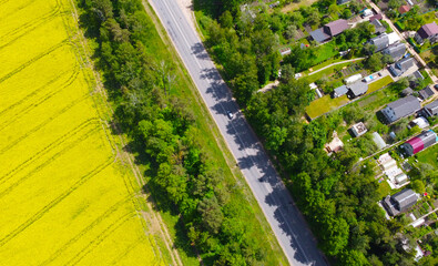 Fototapeta na wymiar Aerial view of a rural road with fields of rapeseed and wheat