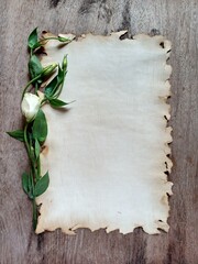 Pergaminho com flores
