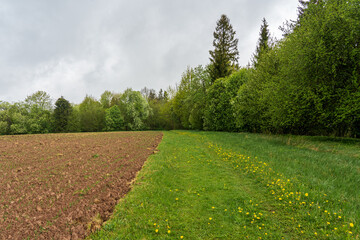 An armoured field borders green grass and dandelions.