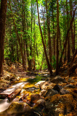 Grizzly Falls in Kings Canyon National Park, California