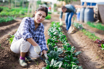 Kazakh woman in garden caring for beds with spinach