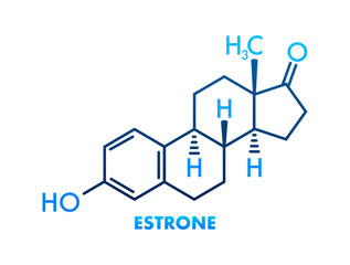 Estrone formula. Estrogens vector chemical formulas. Vector illustration