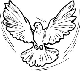 White dove is symbol of peace, hope, love in the world. Flying pigeon like holy spirit brings freedom, joy, grace. Hand drawn retro vintage vector illustration. Old style comics cartoon line drawing.