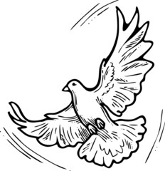 White dove is symbol of peace, hope, love in the world. Flying pigeon like holy spirit brings freedom, joy, grace. Hand drawn retro vintage vector illustration. Old style comics cartoon line drawing.