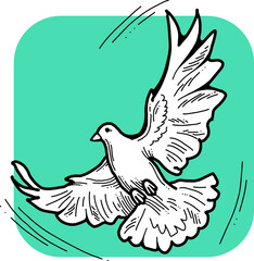 White dove is symbol of peace, hope, love in the world. Flying pigeon like holy spirit brings freedom, joy, grace. Hand drawn retro vintage vector illustration. Old style comics cartoon line drawing.
