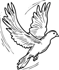 White dove is symbol of peace, hope, love in the world. Flying pigeon like holy spirit brings freedom, joy, grace. Hand drawn retro vintage vector illustration. Old style comics cartoon line drawing.