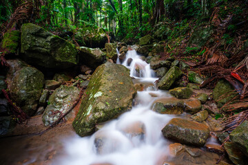waterfall in Gondwana world heritage listed rainforest