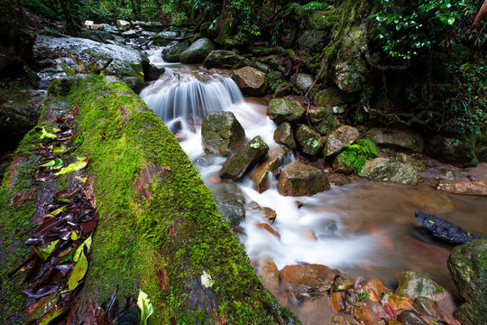 waterfall in Gondwana world heritage listed rainforest