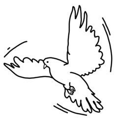 White dove is symbol of peace, hope, love in the world. Flying pigeon like holy spirit brings freedom, joy, grace. Hand drawn retro vintage illustration. Old style comics cartoon line drawing.