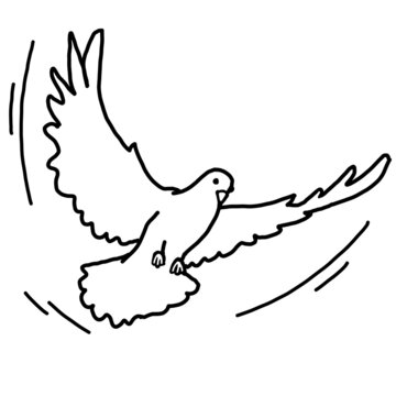 White dove is symbol of peace, hope, love in the world. Flying pigeon like holy spirit brings freedom, joy, grace. Hand drawn retro vintage illustration. Old style comics cartoon line drawing.
