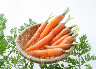 ミニキャロット　白バック