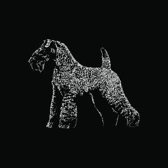 Kerry Blue Terrier hand drawing vector illustration isolated on black background