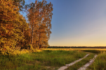 Fototapeta premium Path in a summer field in sunset light