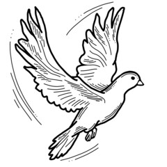 White dove is symbol of peace, hope, love in the world. Flying pigeon like holy spirit brings freedom, joy, grace. Hand drawn retro vintage illustration. Old style comics cartoon line drawing.