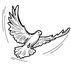 White dove is symbol of peace, hope, love in the world. Flying pigeon like holy spirit brings freedom, joy, grace. Hand drawn retro vintage illustration. Old style comics cartoon line drawing.