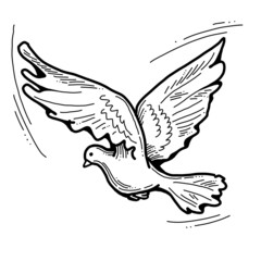 White dove is symbol of peace, hope, love in the world. Flying pigeon like holy spirit brings freedom, joy, grace. Hand drawn retro vintage illustration. Old style comics cartoon line drawing.