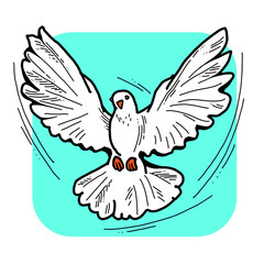 White dove is symbol of peace, hope, love in the world. Flying pigeon like holy spirit brings freedom, joy, grace. Hand drawn retro vintage illustration. Old style comics cartoon line drawing.