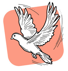 White dove is symbol of peace, hope, love in the world. Flying pigeon like holy spirit brings freedom, joy, grace. Hand drawn retro vintage illustration. Old style comics cartoon line drawing.